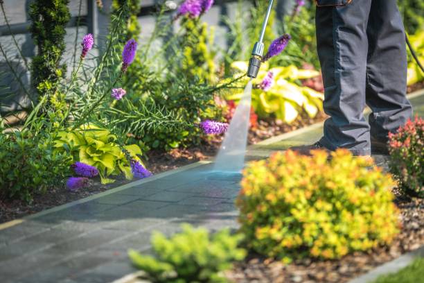 North York, PA Pressure Washing Services Company